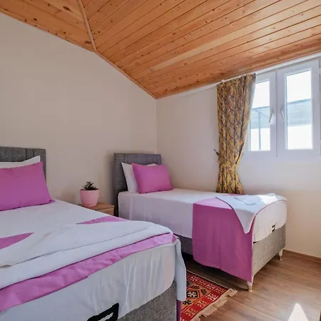 Villa Sedir Duo Fethiye